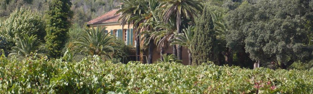 Domaine Les Fouques Côtes de Provence