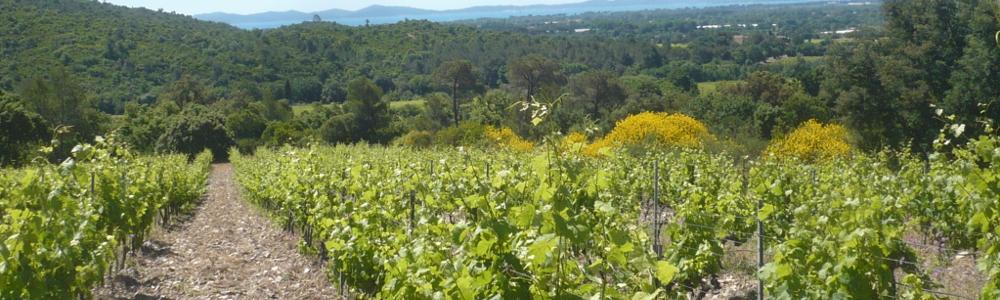 Domaine Les Fouques Côtes de Provence